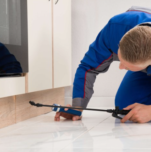 Ongedierte bestreiding